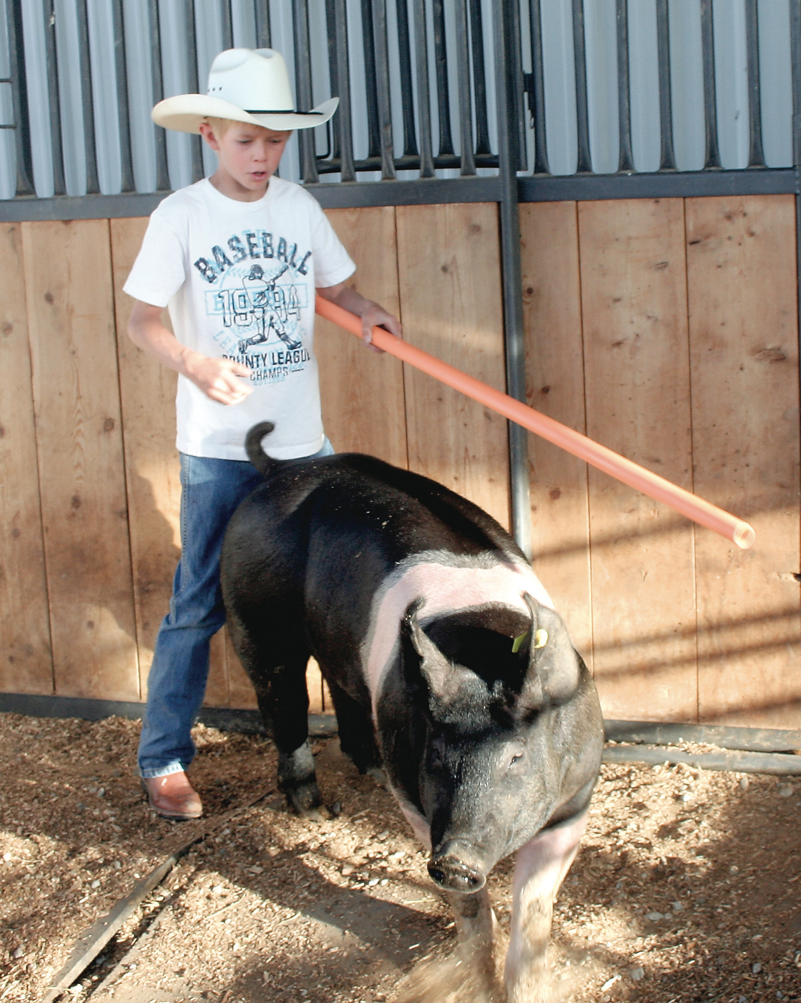 Brody Woods uses a pole to guide his pig, Happy, around his pen. He’ll be using the same technique to show the pig before judges this week.